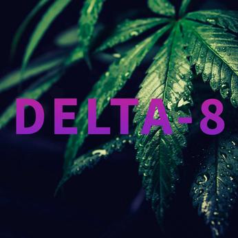 What is Delta-8 Cannabis & Does it Have THC?