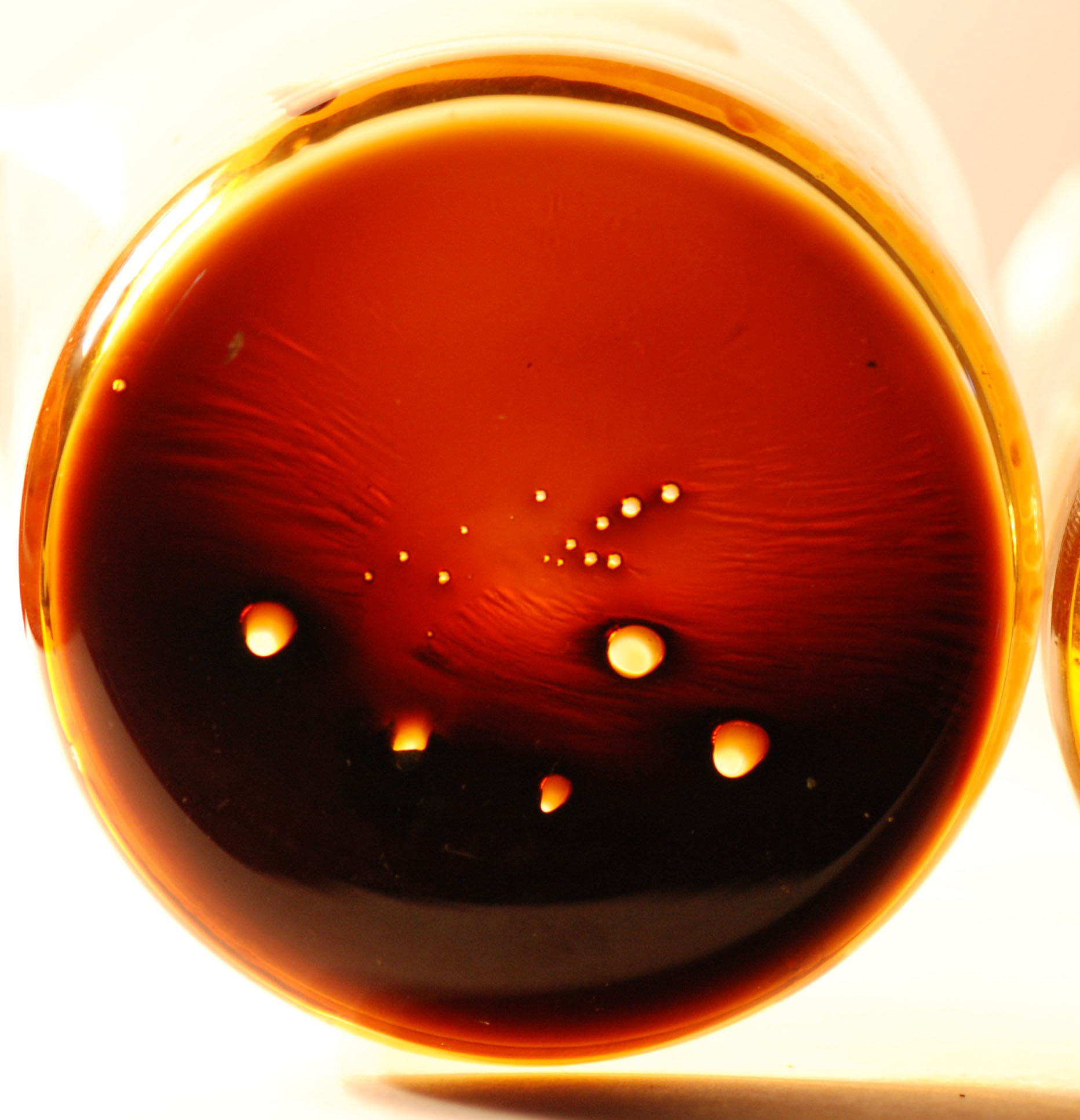 Hexane Honey Oil