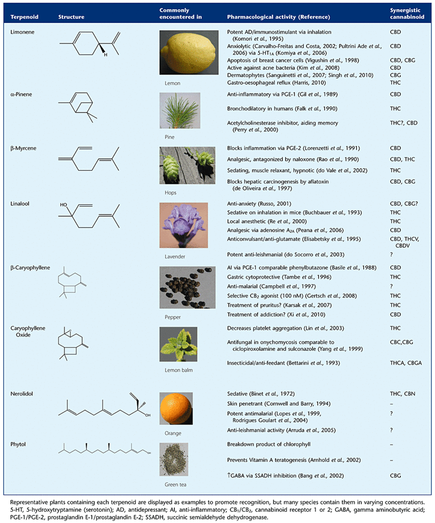 Terpene Temperature Chart